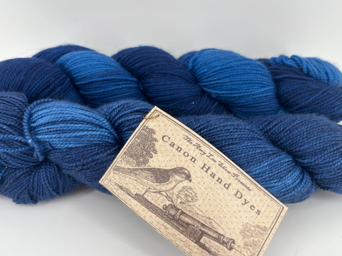 Canon Hand Dyes Charles Merino Fingering - Lot of 2 Skeins