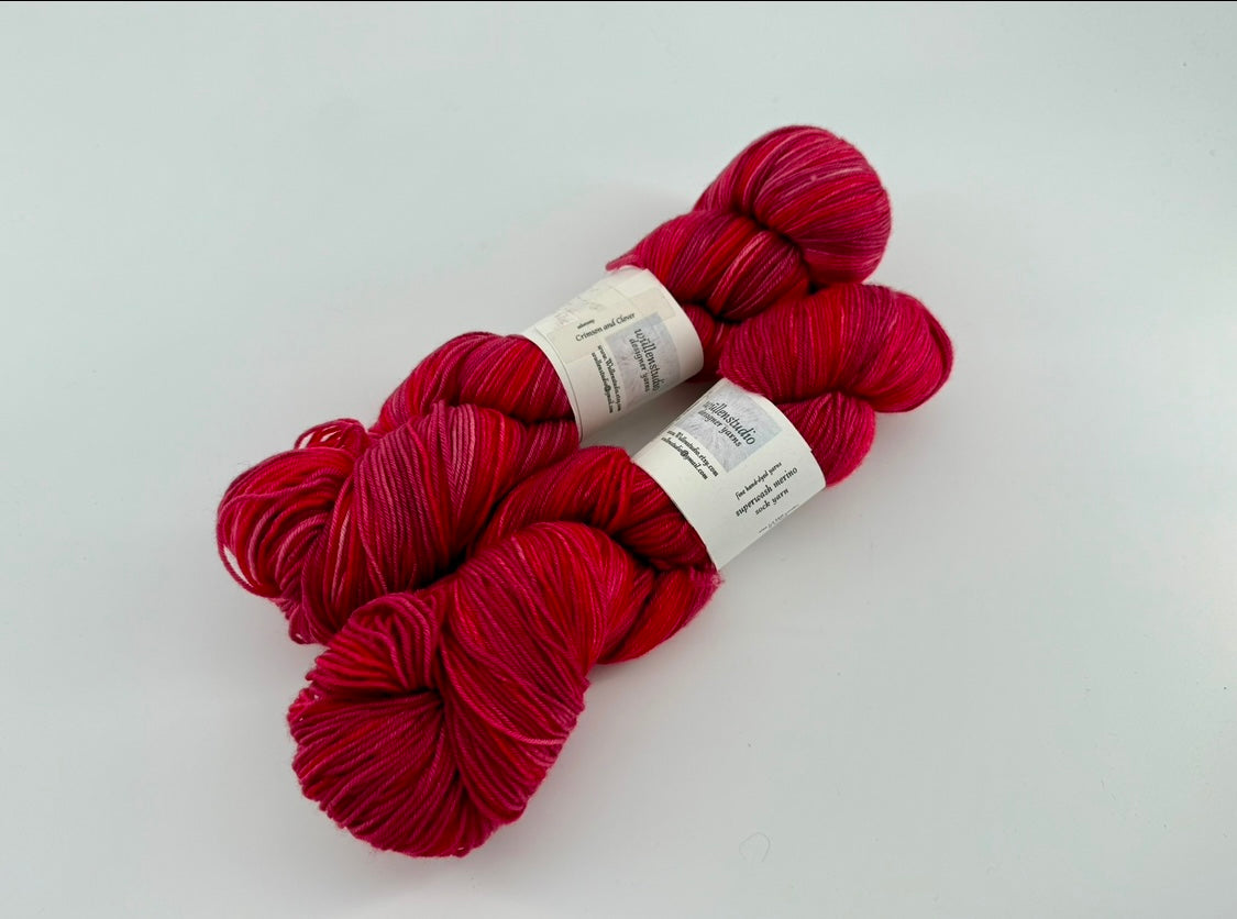 Wullenstudio Superwash Sock Merino Nylon - Lot of 2 Skeins