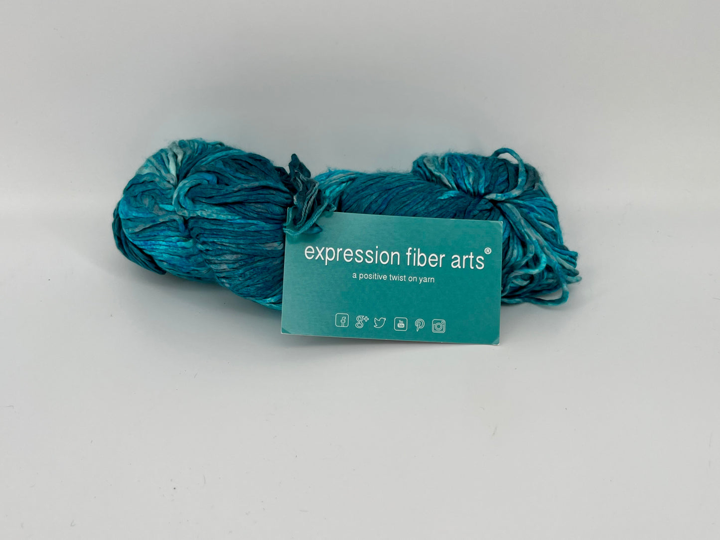Expression Fiber Arts Zane Silk Worsted