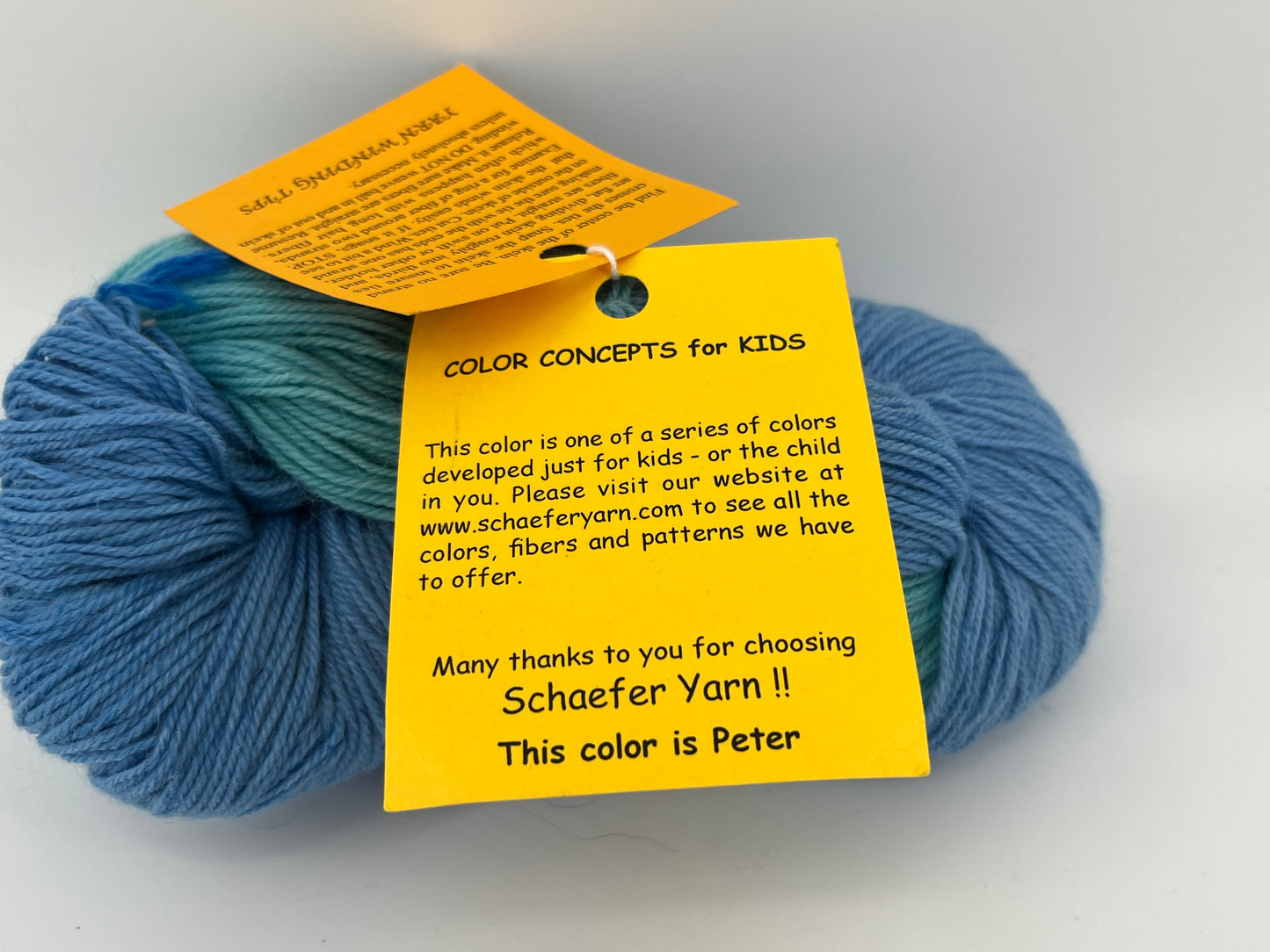 Schaefer Yarn Anne