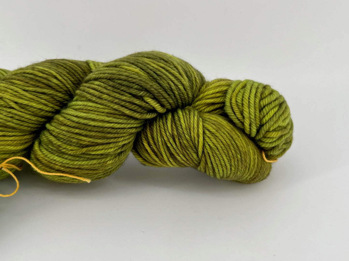 The Verdant Gryphon Traveller