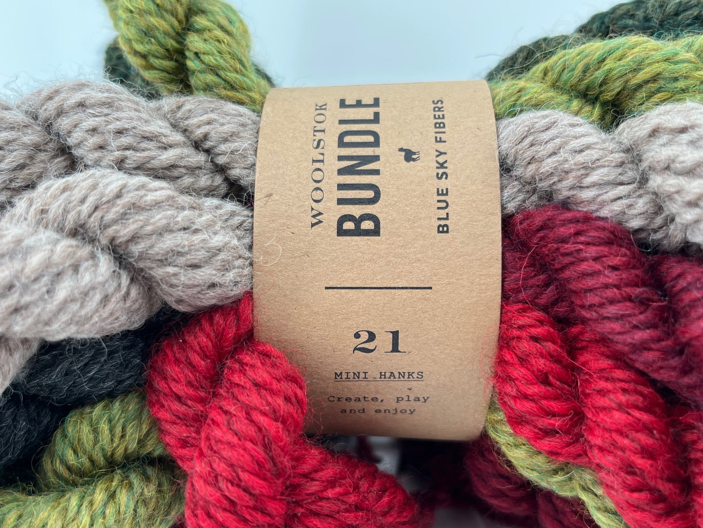 Blue Sky Fibers Woolstok Bundle