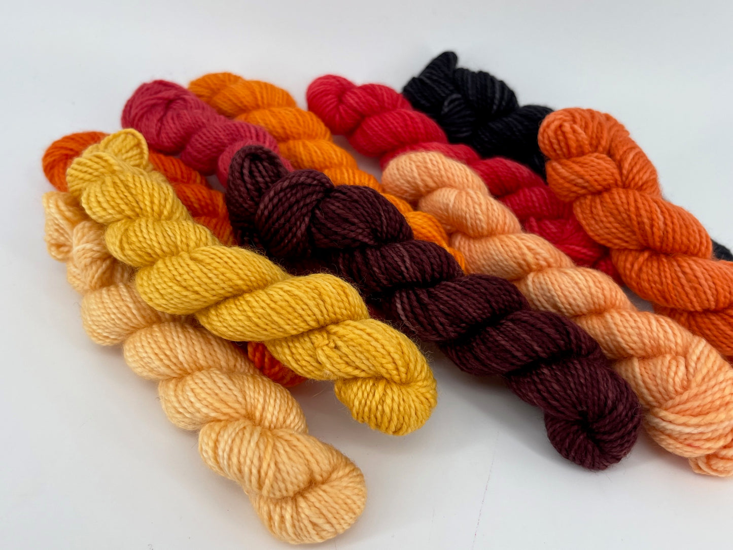 Canon Hand Dyes Charles Merino Sock Set