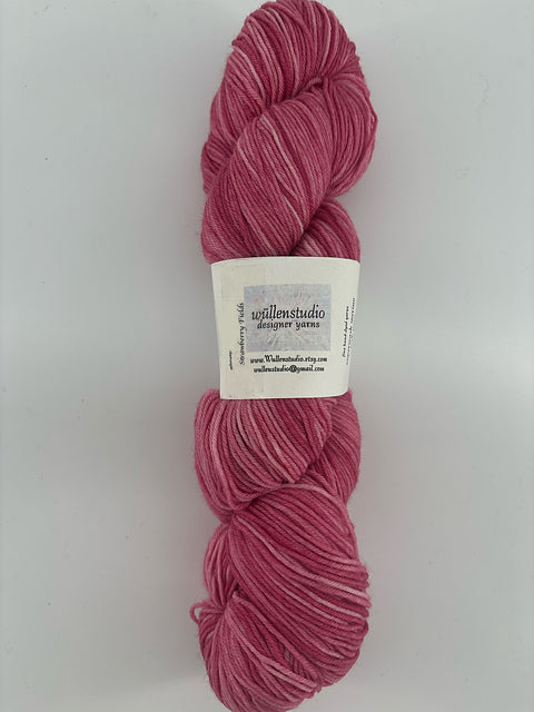 Wullenstudio Superwash Sock Merino Nylon - Lot of 2 Skeins
