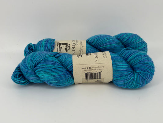 Juniper Moon Farm Findley DK Dappled - Lot of 2 Skeins