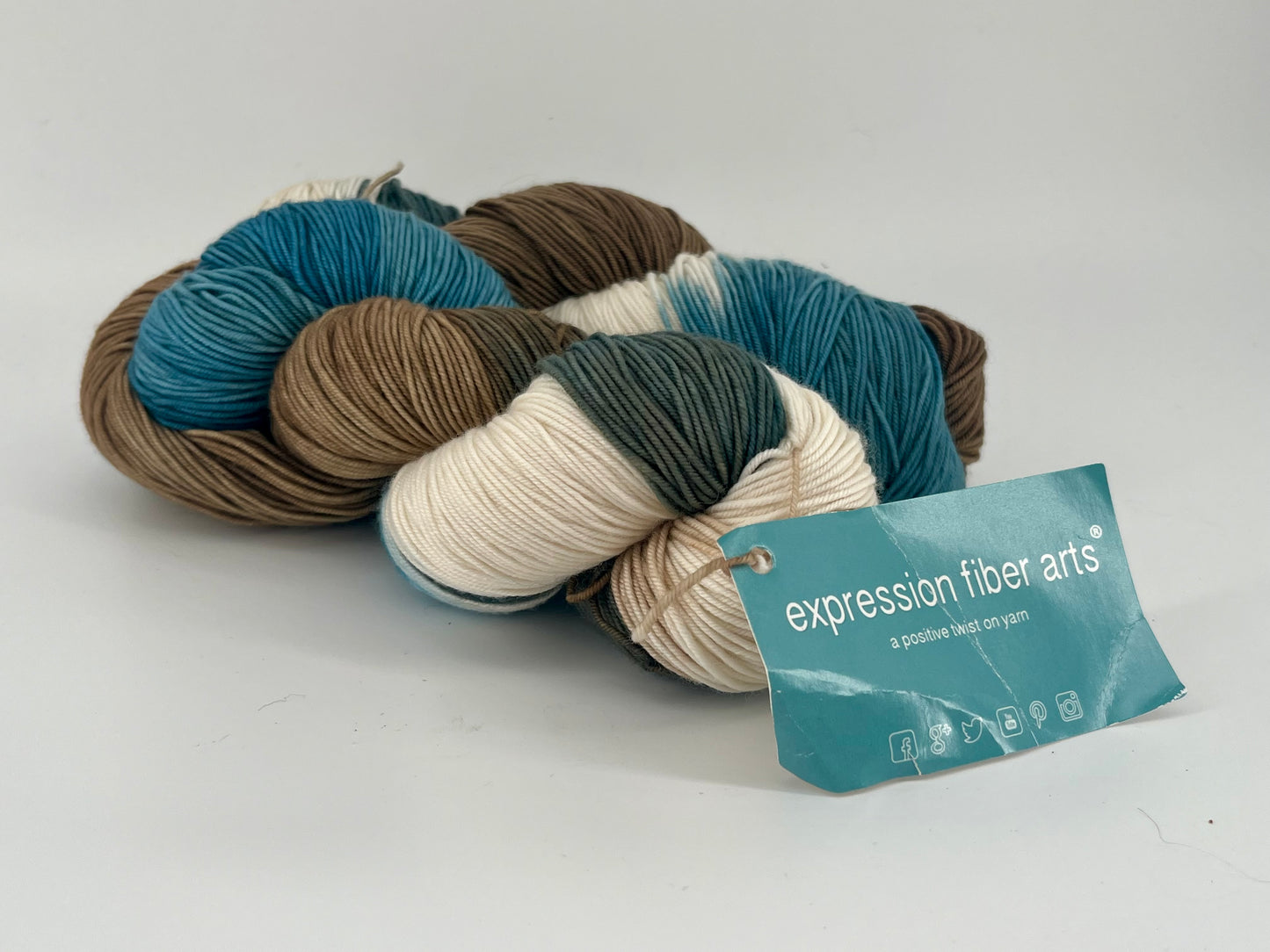 Expression Fiber Arts Resilient Superwash Merino Sock - Lot of 2 Skeins