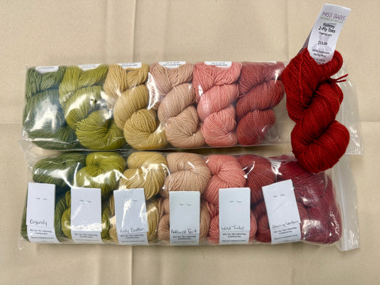 FB Order - Miss Babs Yummy 2-Ply Toes Mini Skein Sets