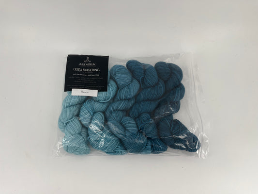 Julie Asselin Leizu Fingering Mini Set