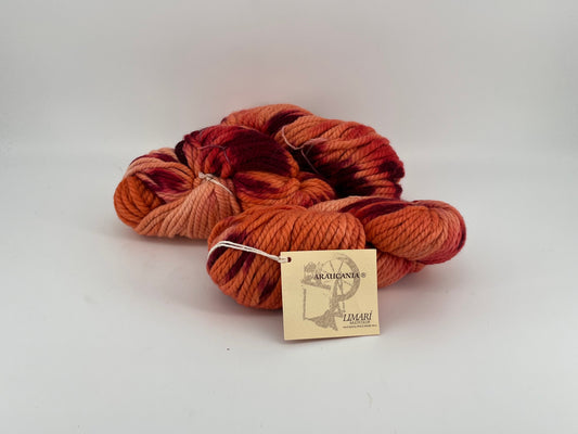 Araucania Limari Multicolor - Lot of 2