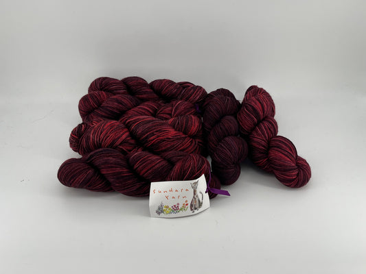 Sundara Yarn Sock - Lot of 6