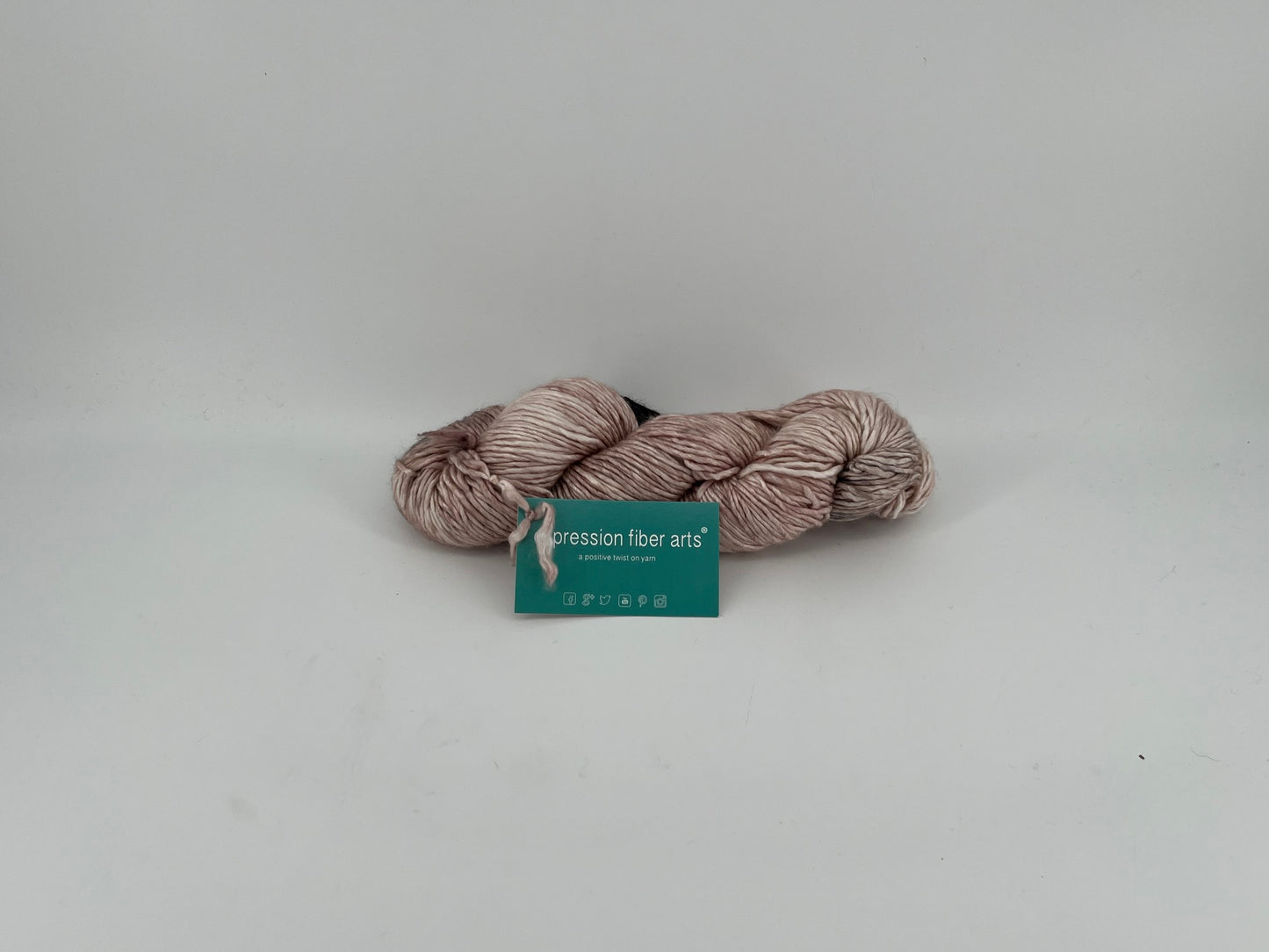 Expression Fiber Arts Superwash Merino Silk Pearlescent Worsted