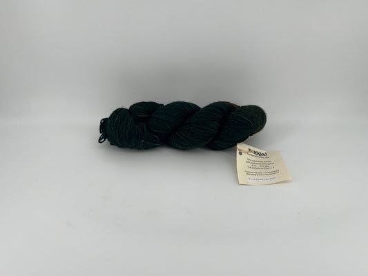 The Sanguine Gryphon Bugga!