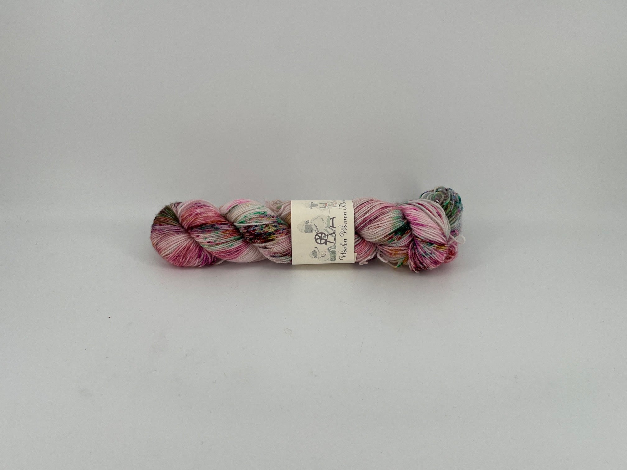 Woolen Women Fibers Merino Nylon Fingering