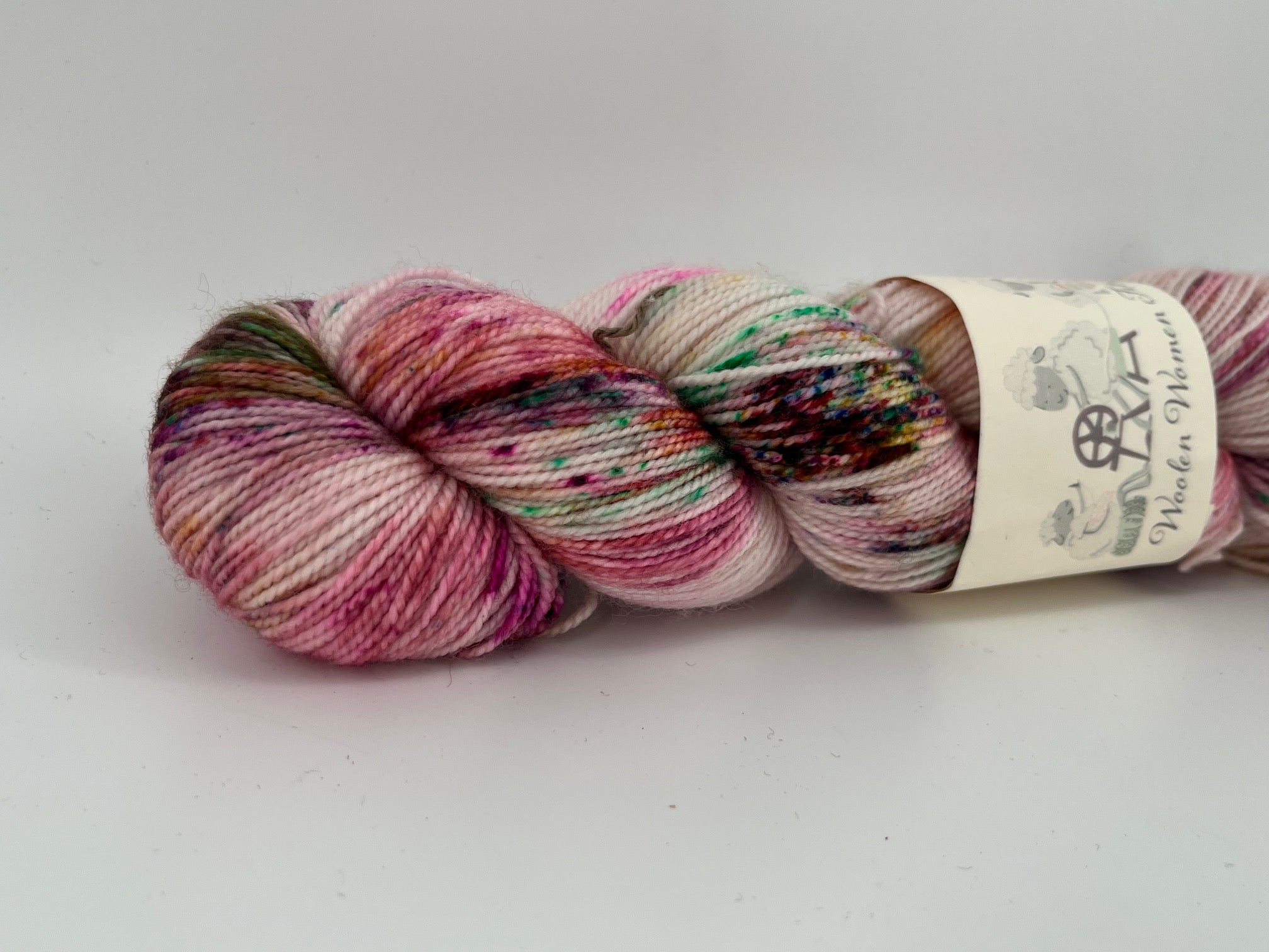 Woolen Women Fibers Merino Nylon Fingering