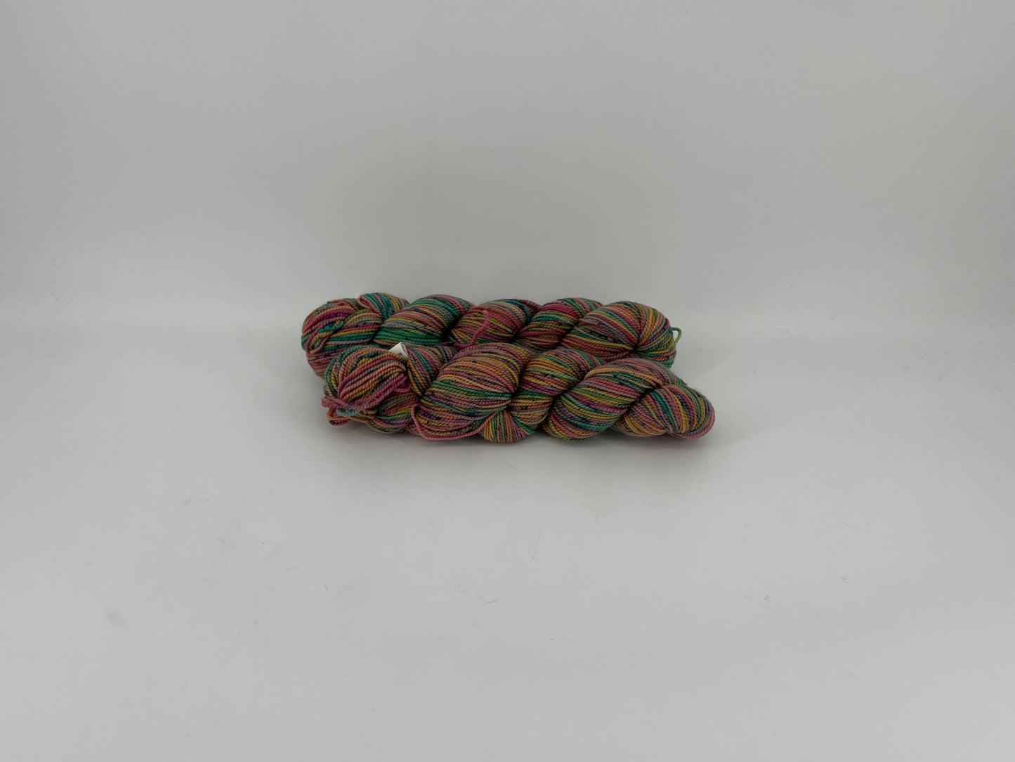 Koigu Painter's Palette Premium Merino - Lot of 2