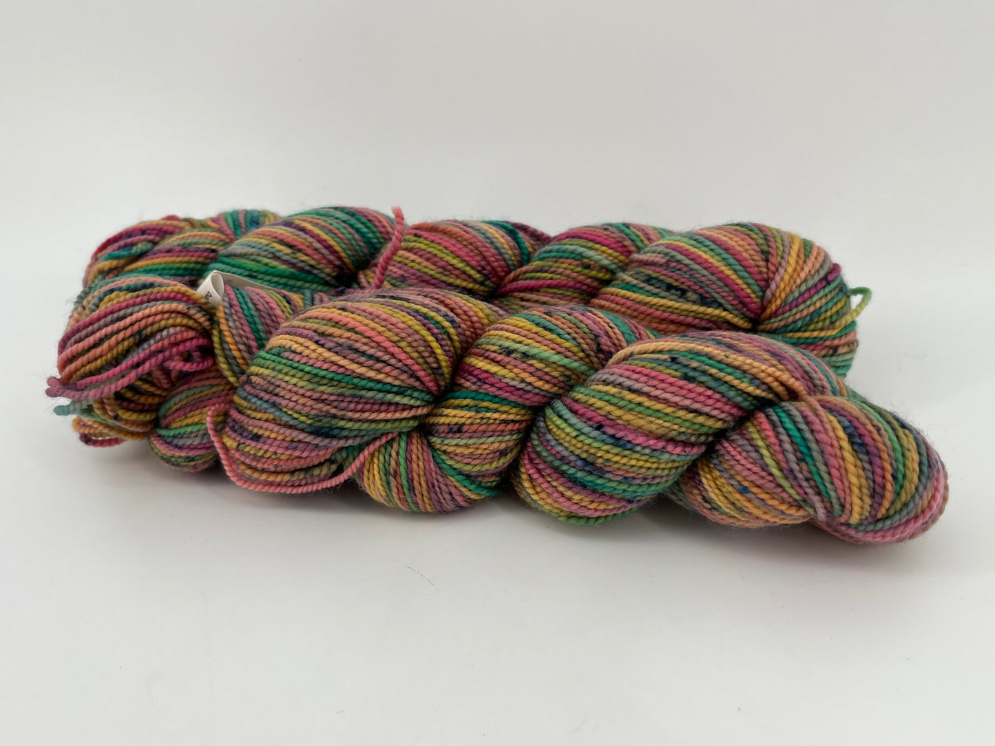 Koigu Painter's Palette Premium Merino - Lot of 2