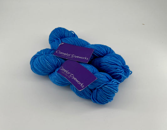 Camelot Dyeworks Merlin - Lot of 2 Skeins