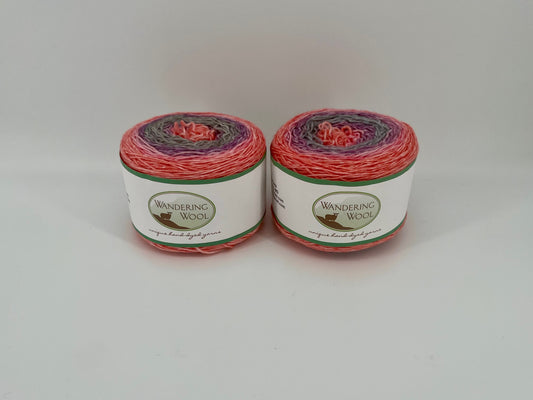 Wandering Wool North Country Sock - Lot of 2