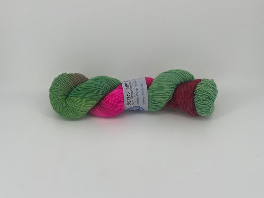 Blue Moon Fiber Arts Socks That Rock Lightweight