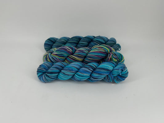 Koigu Painter's Palette Premium Merino - Lot of 3