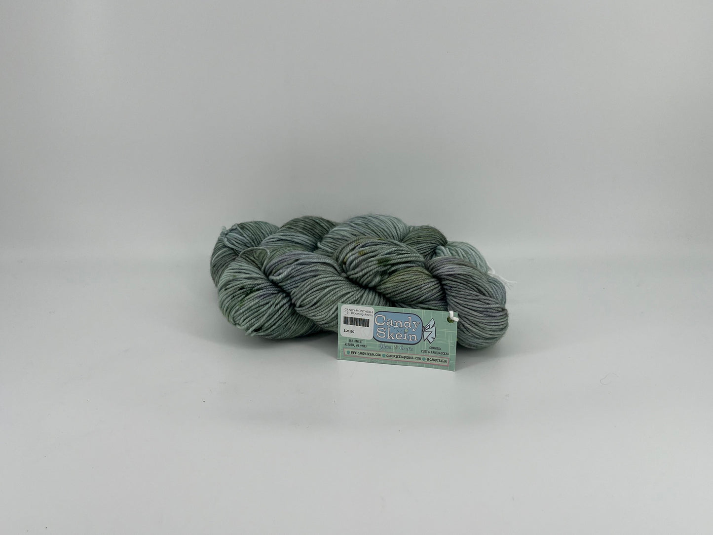 Candy Skein Tasty DK - Lot of 2