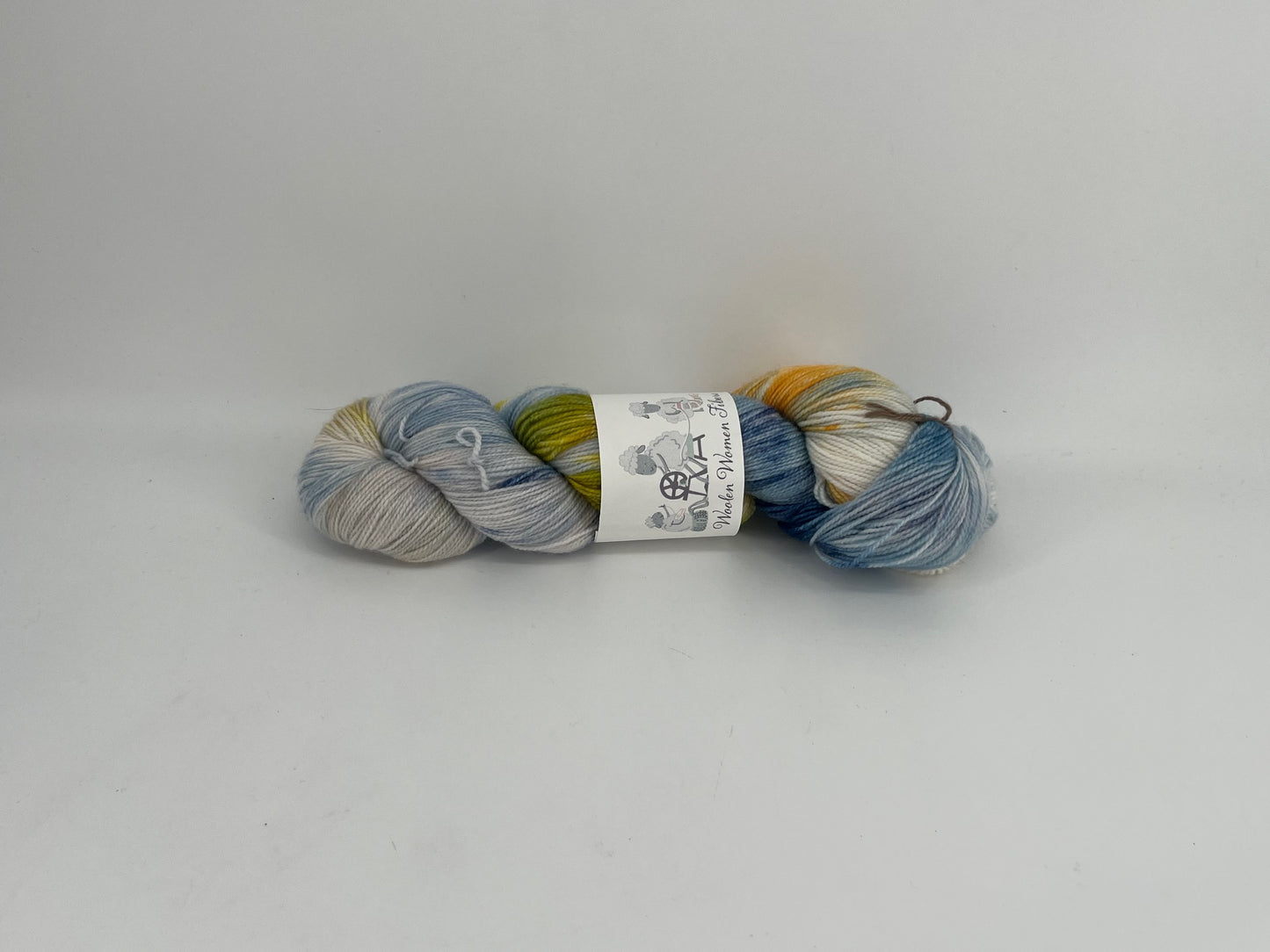 Woolen Women Fibers Merino Nylon Fingering