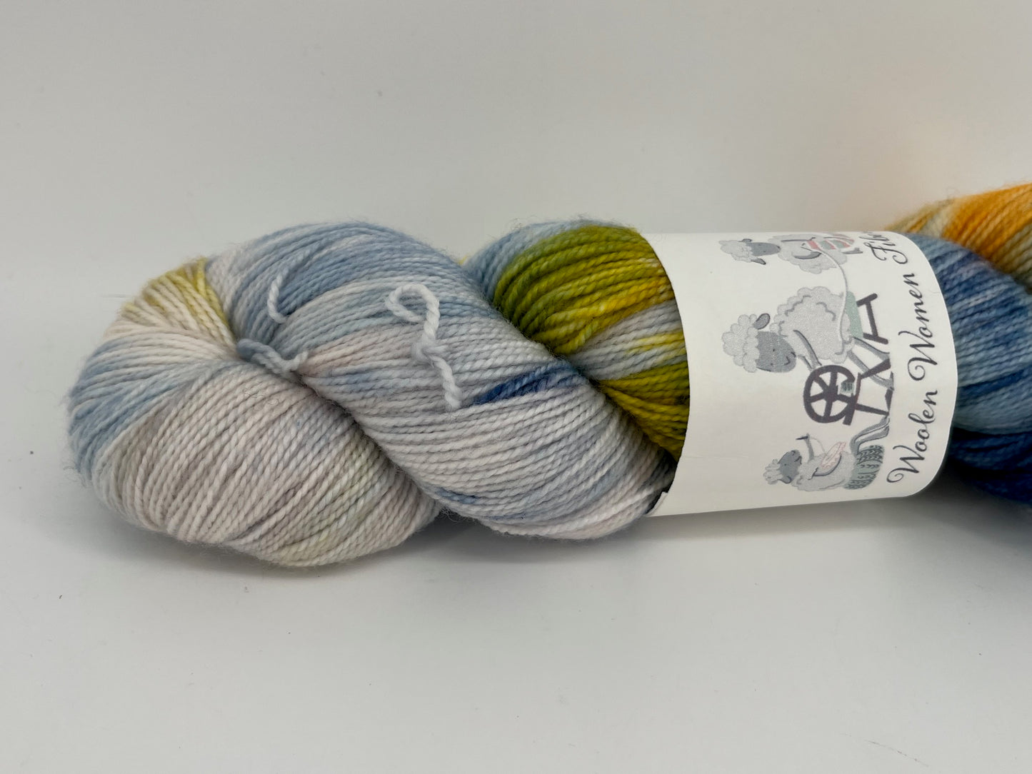 Woolen Women Fibers Merino Nylon Fingering