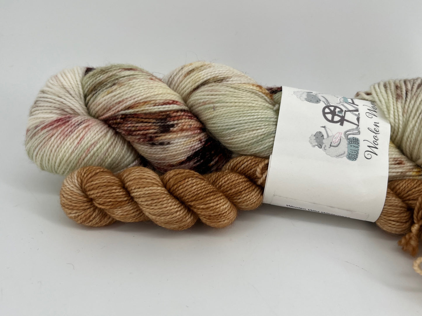 Woolen Women Fibers Merino Nylon Fingering Sock Set