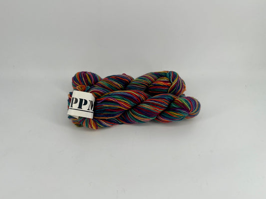 Koigu Painter's Palette Premium Merino - Lot of 2