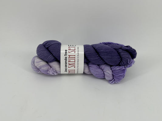 Destination Yarn Passport Mega Mini