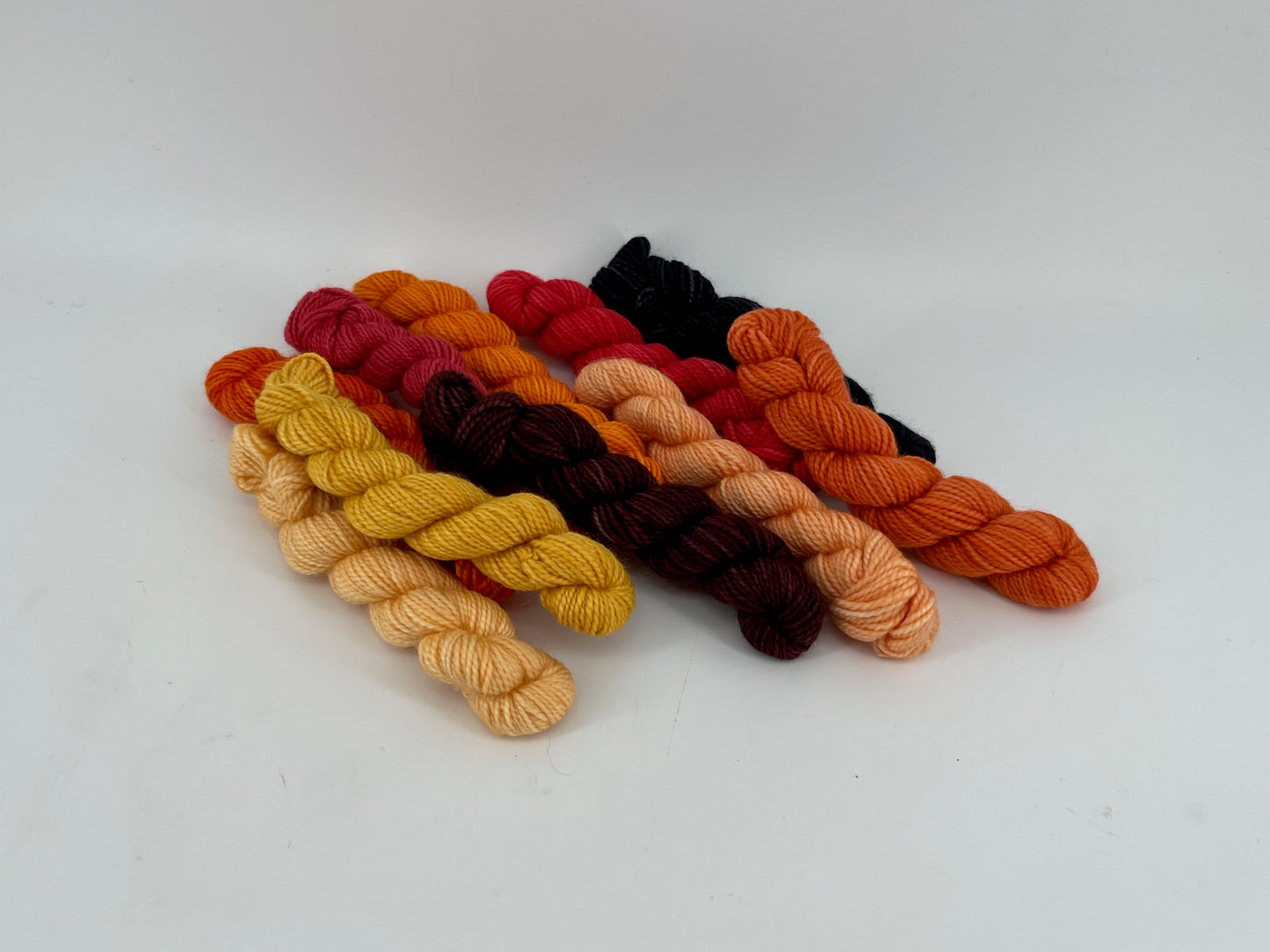 Canon Hand Dyes Charles Merino Sock Set