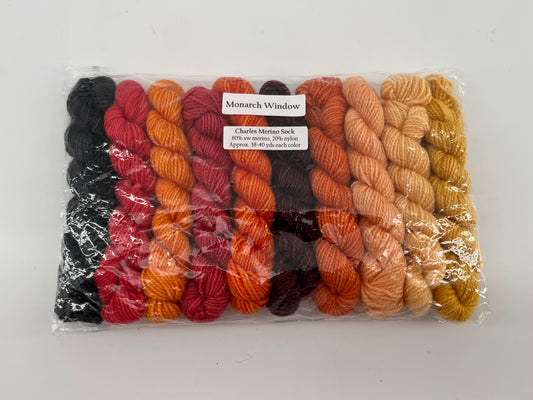 Canon Hand Dyes Charles Merino Sock Set