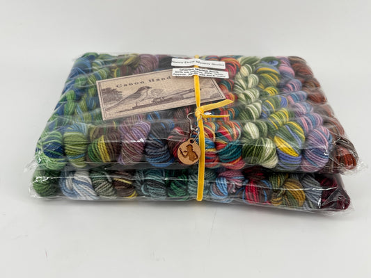 Canon Hand Dyes Charles Merino Sock Set