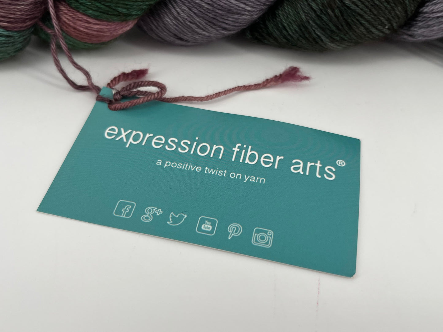 Expression Fiber Arts CashSilk Sock