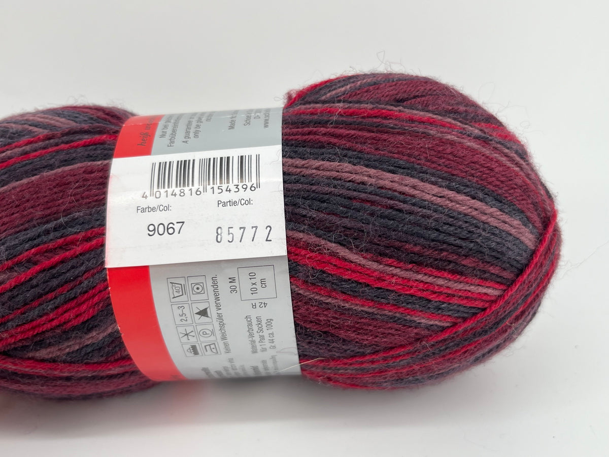 Schoeller+Stahl Fortissima Socka Mexiko Color