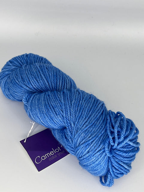 Camelot Dyeworks Merlin - Lot of 2 Skeins