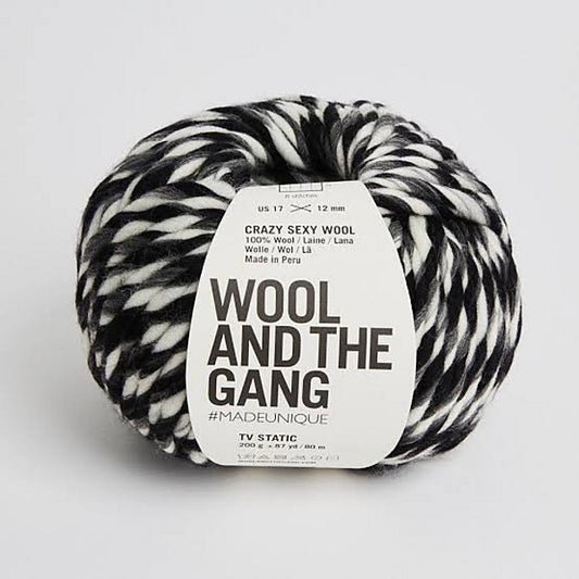 Wool and the Gang Crazy Sexy Wool