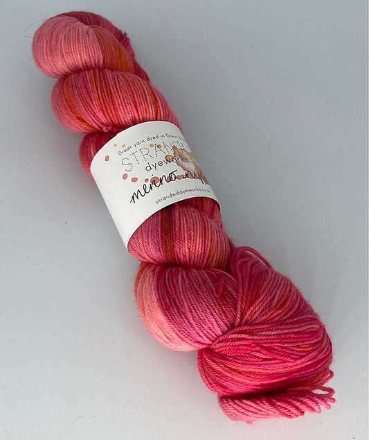 Stranded Dyeworks Merino Nylon Light Fingering